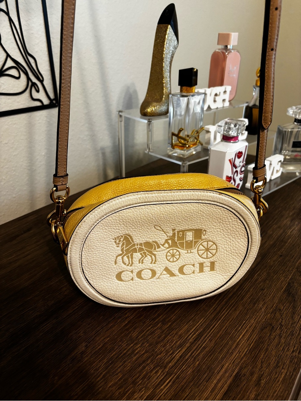 COACH Camera Bag / Round Crossbody